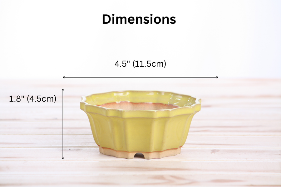 Dimensions of 4.5-Inch Flower Bonsai Pot - Yellow