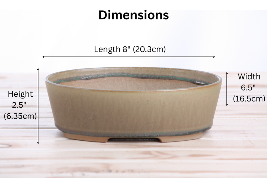Dimensions of 8-Inch Oval A Bonsai Pot - Speckled Moss