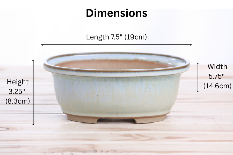 Dimensions of 7.5-Inch Fat Oval Bonsai Pot - Glacier