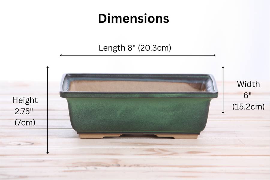 Dimensions of 8-Inch Rectangle Bonsai Pot - Avocado