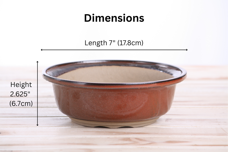Dimensions of 7-Inch Round Bonsai Pot - Sunset