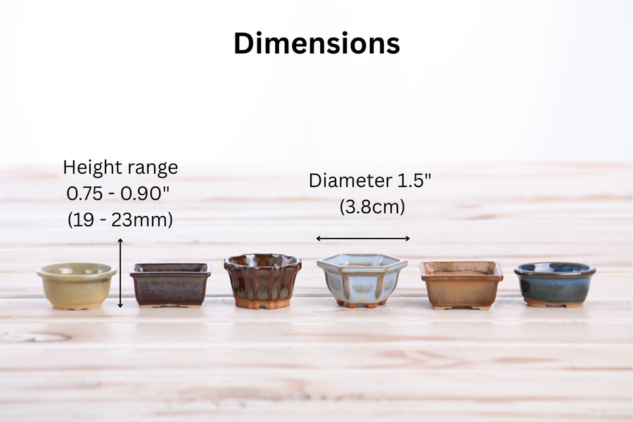 Dimensions of Mini Shito Bonsai Pots, 1.5 Inch - Set of 6, Set A