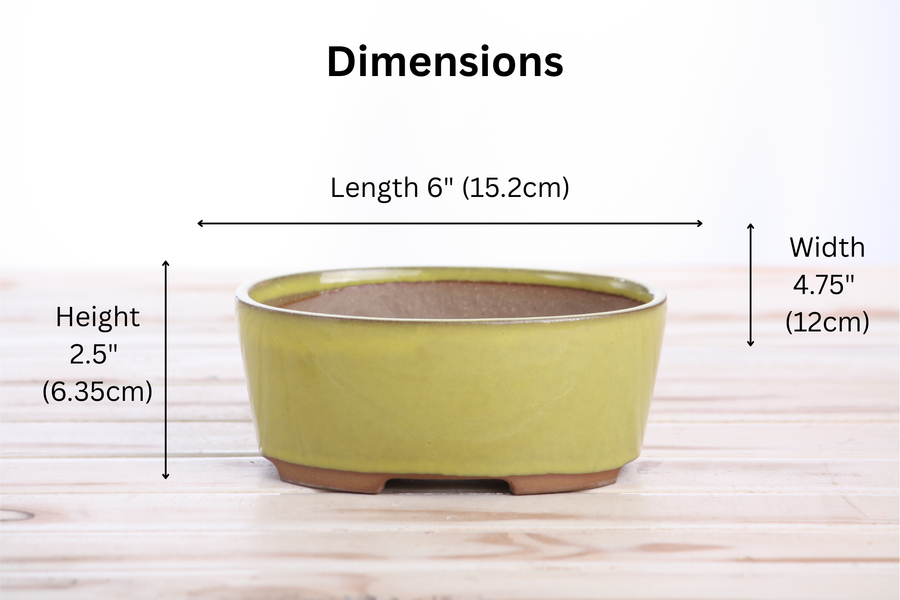 Dimensions of 6-Inch Oval A Bonsai Pot - Yellow