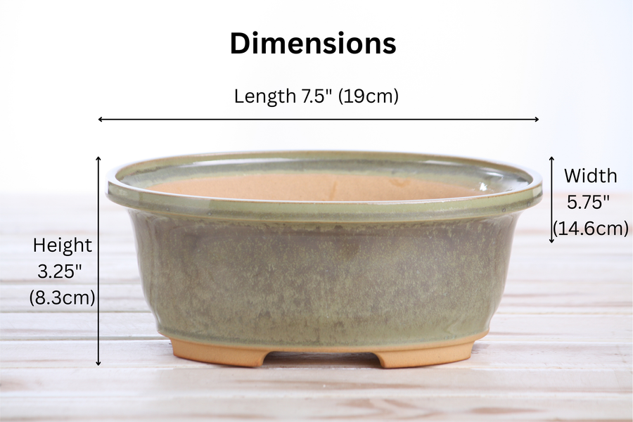 Dimensions of 7.5-Inch Fat Oval Bonsai Pot - Copenhagen