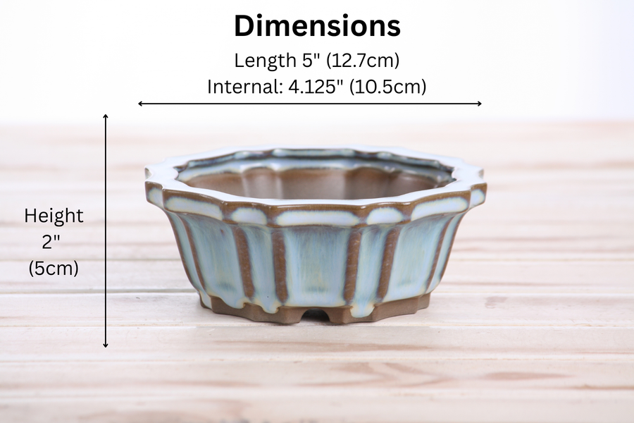 Dimensions of 5-Inch Flower Bonsai Pot - Glacier