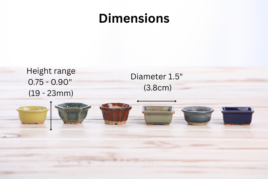 Dimensions of Mini Shito Bonsai Pots, 1.5 Inch - Set of 6, Set B