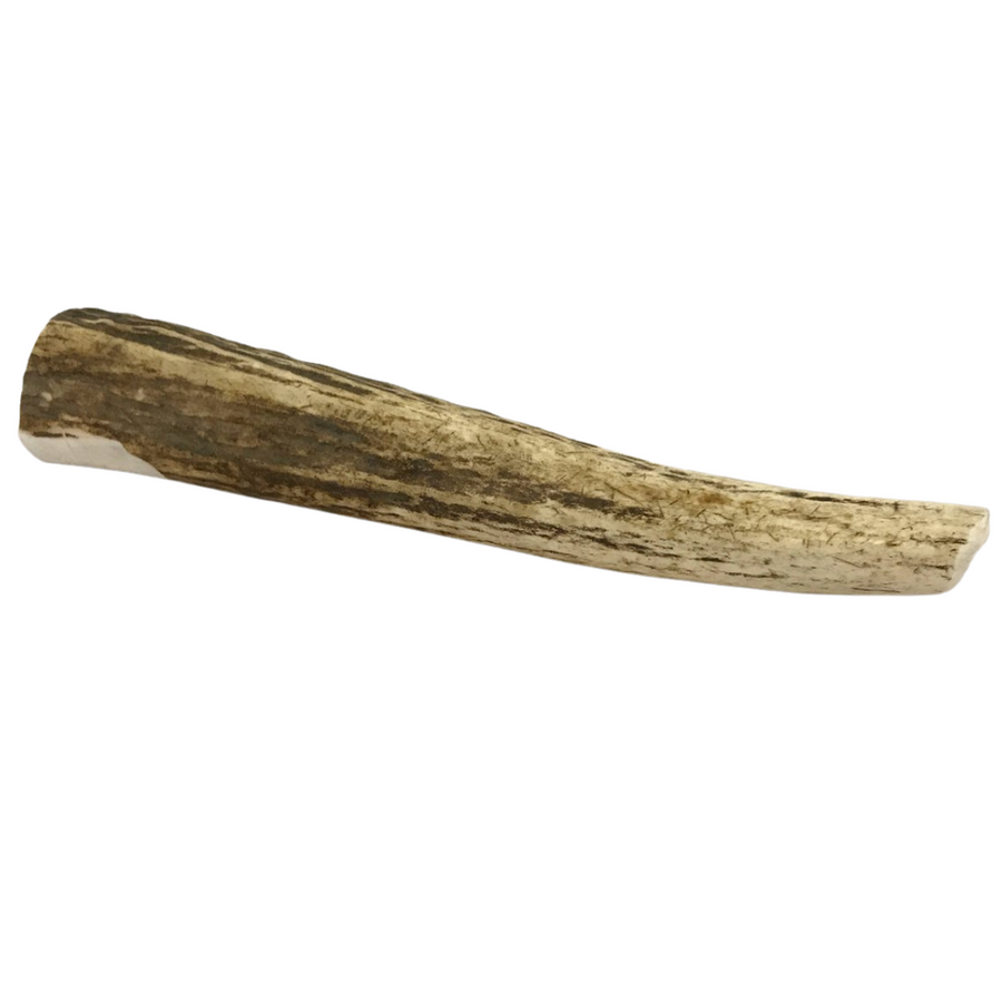 Large Whole Elk Antler Dog Chew