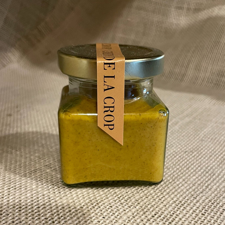 Face Mask / Exfoliant "Illuminate" Skin Polish