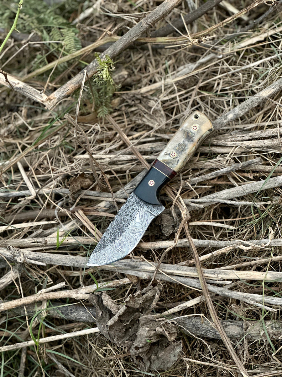 Hunting Knives for Sale – 9" Damascus Steel Blade with Sheep Horn/Resin Handle & Leather Sheath