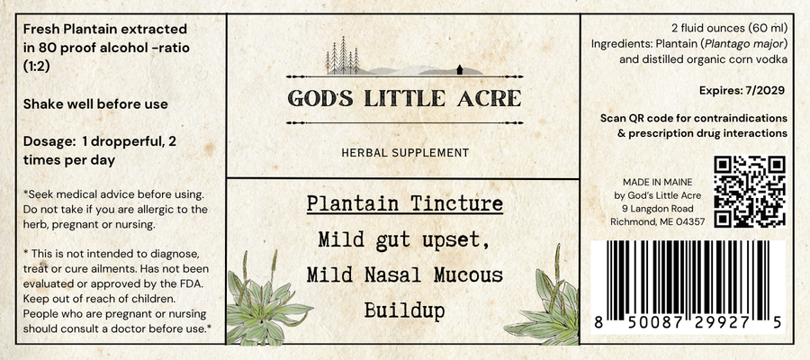 Supplier label for Plantain Tincture, showing ingredients and package information
