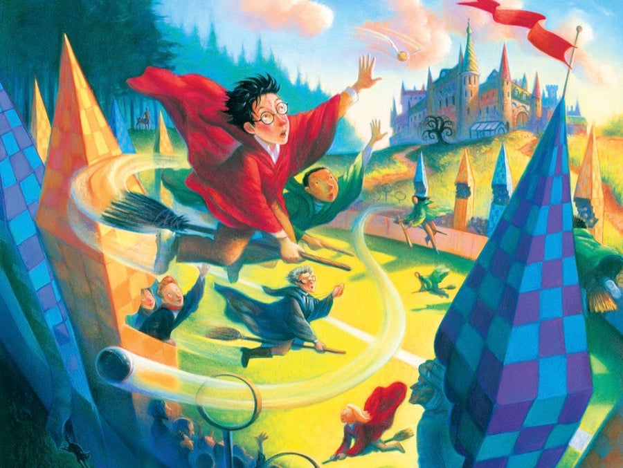 Illustrated Quidditch puzzle design
