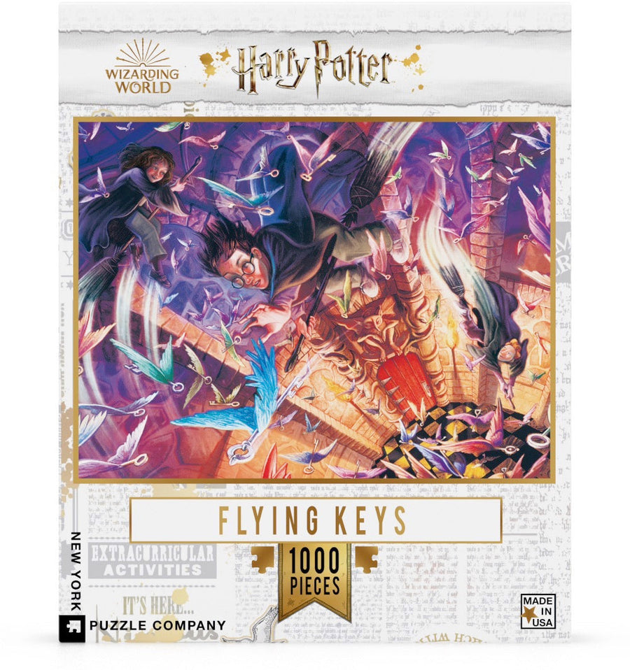 Packaging showing Flying Keys puzzle artwork