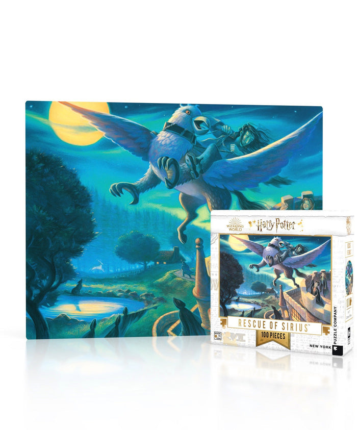 Rescue of Sirius Mini puzzle box and illustrated design