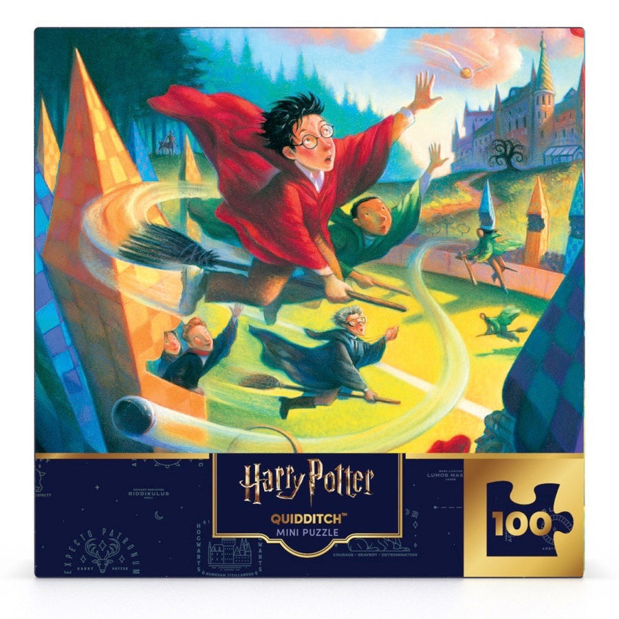 Packaging showing Quidditch Mini puzzle artwork