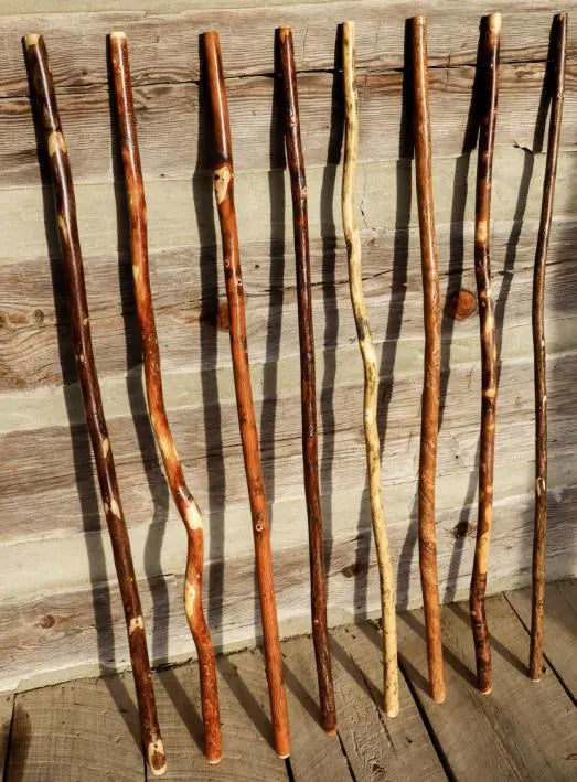 Assorted natural hardwood hiking sticks displayed upright against a wood wall