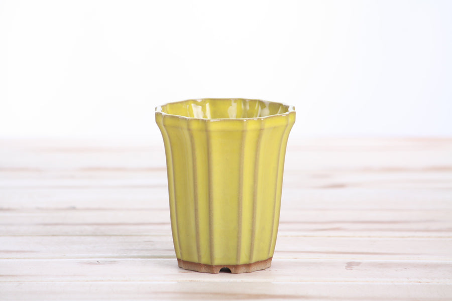 3-Inch Flower Cascade Bonsai Pot - Yellow