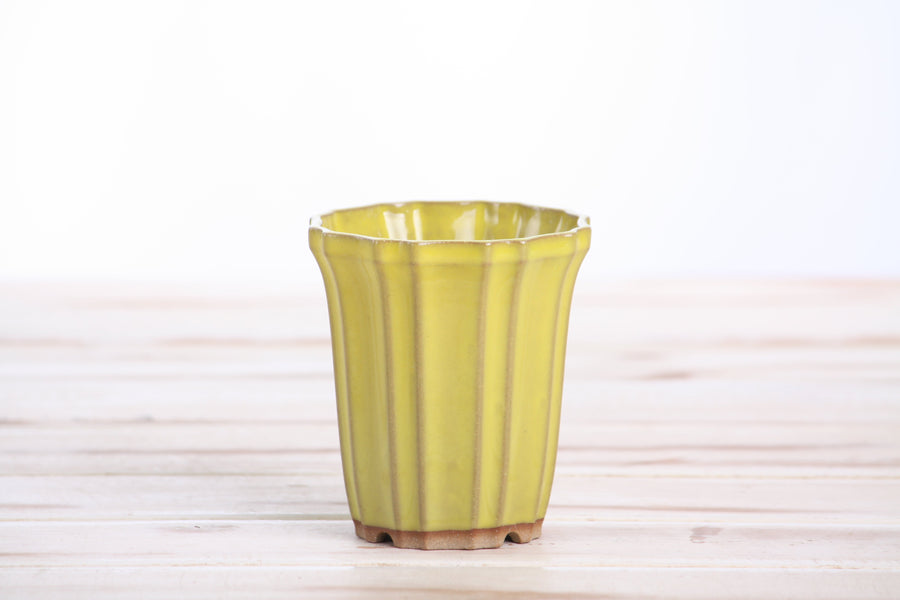 3-Inch Flower Cascade Bonsai Pot - Yellow