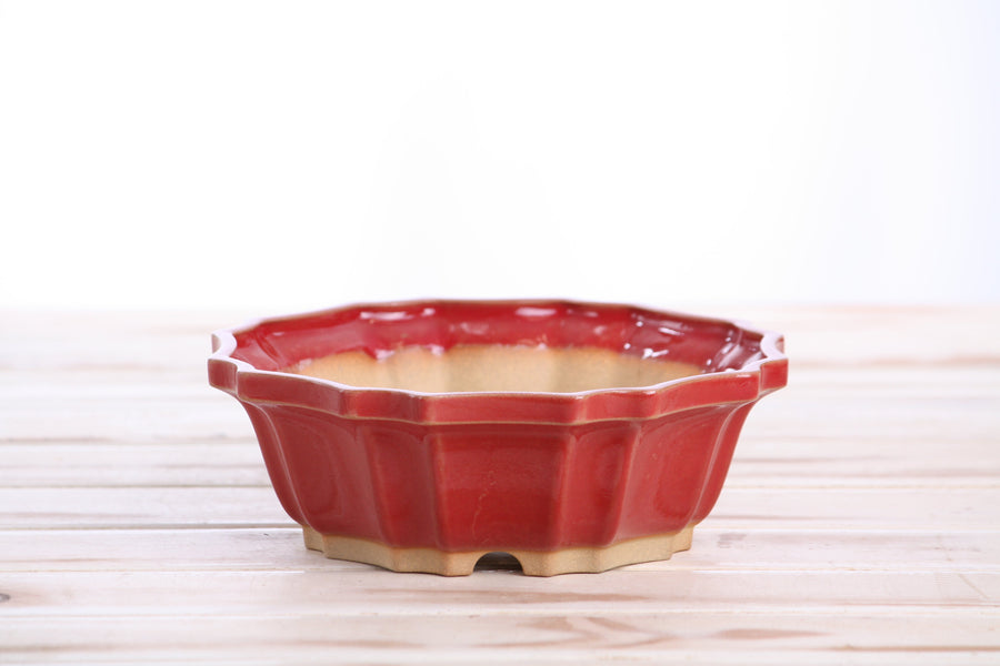 6.5-Inch Flower Bonsai Pot - Red