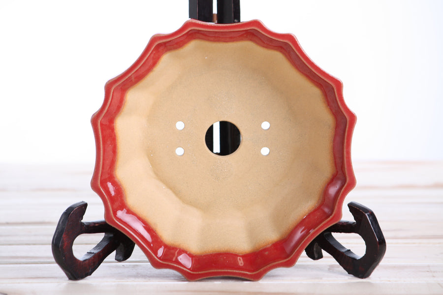 6.5-Inch Flower Bonsai Pot - Red
