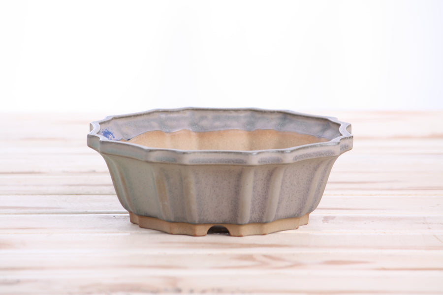6.5-Inch Flower Bonsai Pot - Ocean