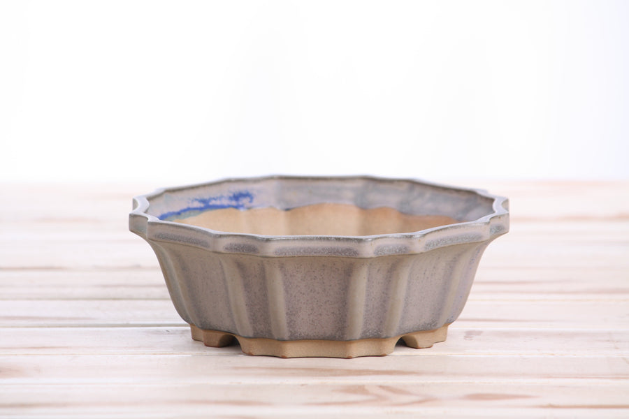 6.5-Inch Flower Bonsai Pot - Ocean