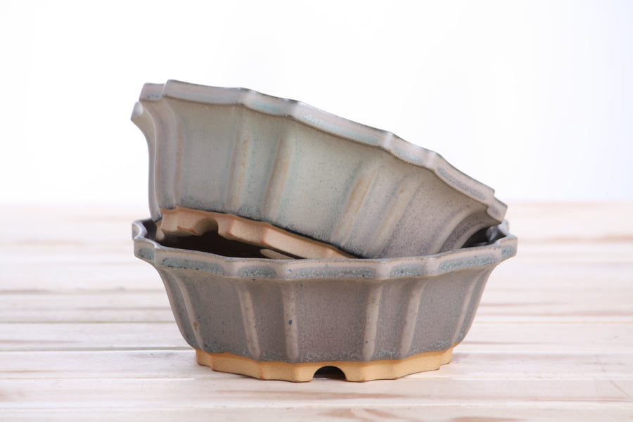 6.5-Inch Flower Bonsai Pot - Ocean