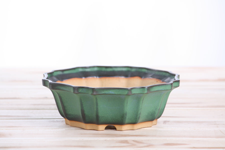 6.5-Inch Flower Bonsai Pot - Avocado