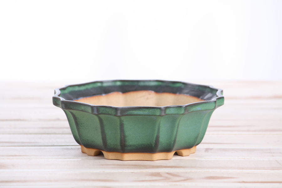 6.5-Inch Flower Bonsai Pot - Avocado