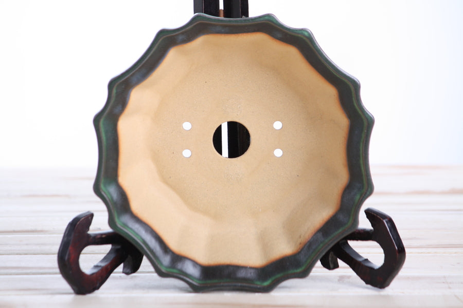 6.5-Inch Flower Bonsai Pot - Avocado