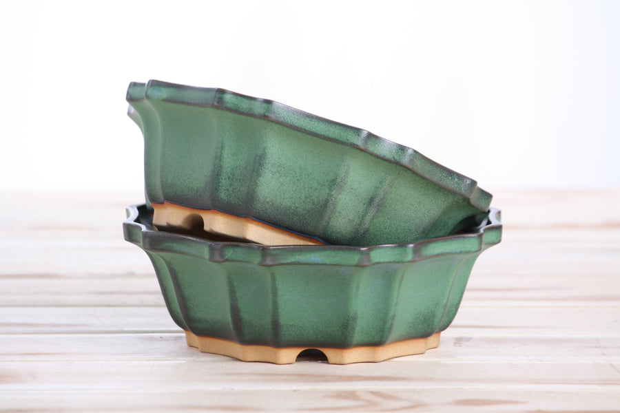 6.5-Inch Flower Bonsai Pot - Avocado