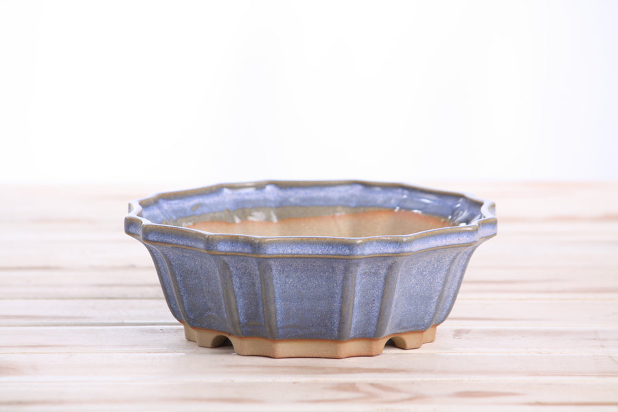 6.5-Inch Flower Bonsai Pot - Denim