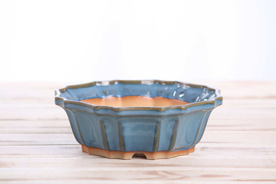 6.5-Inch Flower Bonsai Pot - Peacock 2025