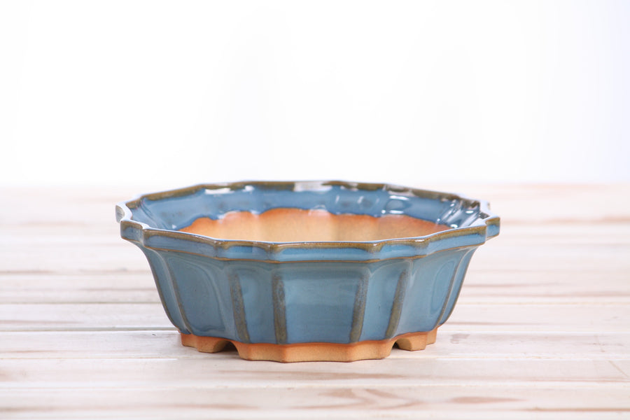 6.5-Inch Flower Bonsai Pot - Peacock 2025