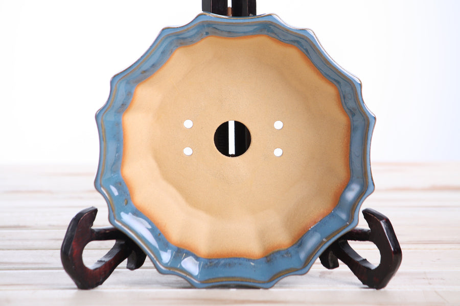 6.5-Inch Flower Bonsai Pot - Peacock 2025