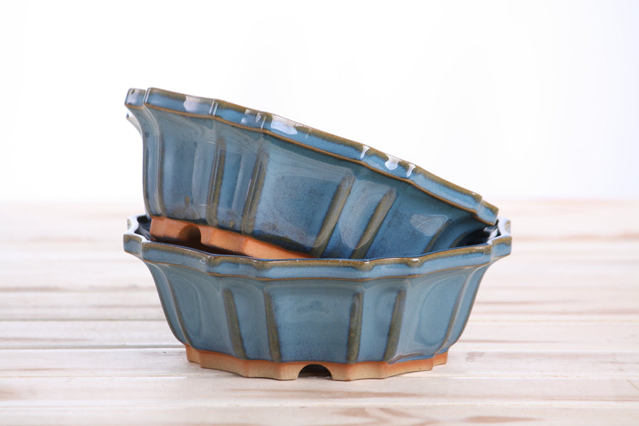 6.5-Inch Flower Bonsai Pot - Peacock 2025