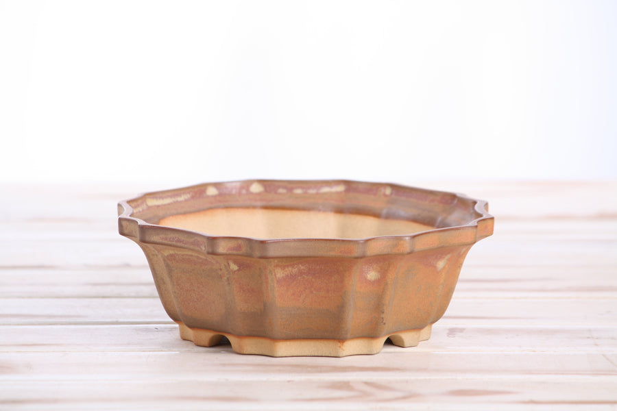 6.5-Inch Flower Bonsai Pot - Deep Stone