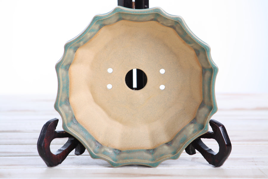 6.5-Inch Flower Bonsai Pot - Speckled Moss