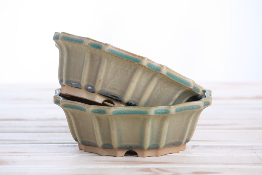 6.5-Inch Flower Bonsai Pot - Speckled Moss