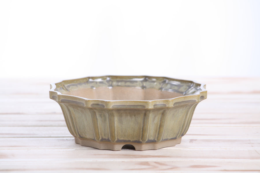 6.5-Inch Flower Bonsai Pot - Copenhagen