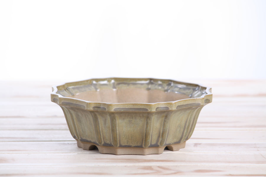 6.5-Inch Flower Bonsai Pot - Copenhagen