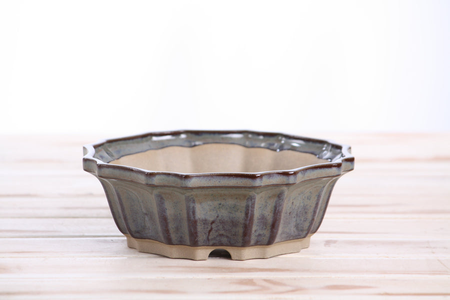 6.5-Inch Flower Bonsai Pot - Starry Night