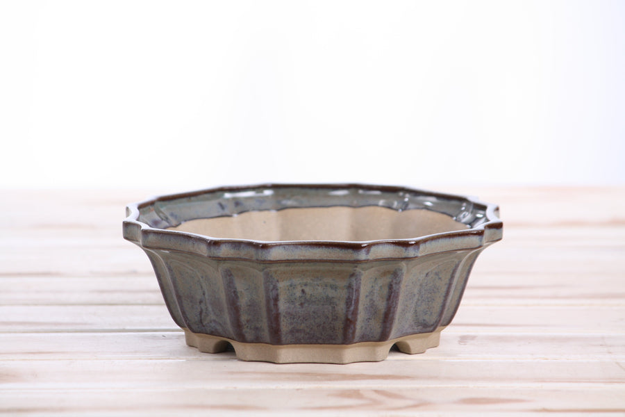 6.5-Inch Flower Bonsai Pot - Starry Night