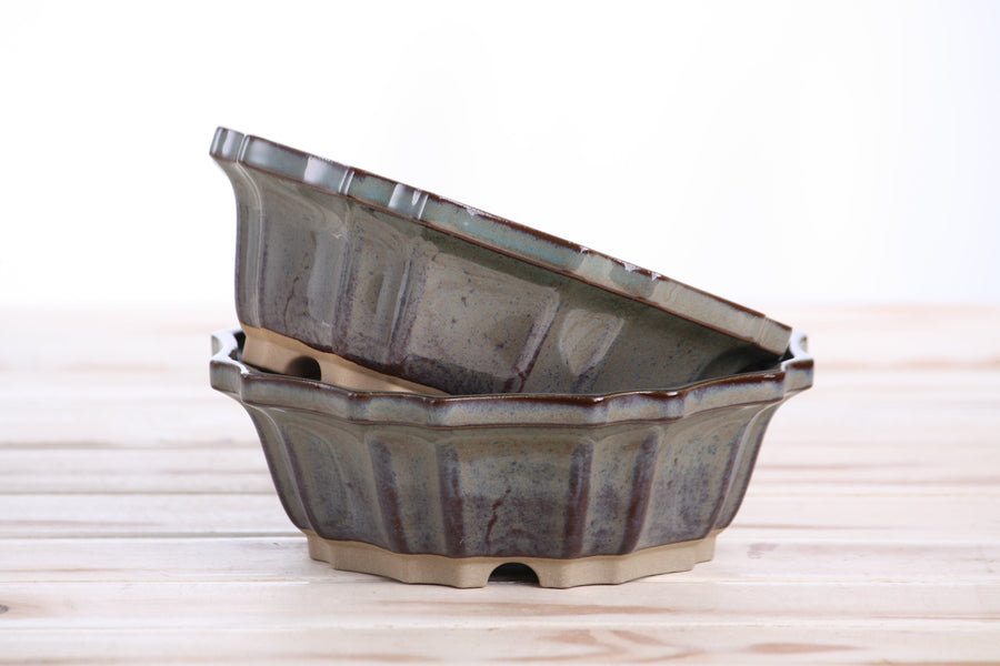 6.5-Inch Flower Bonsai Pot - Starry Night
