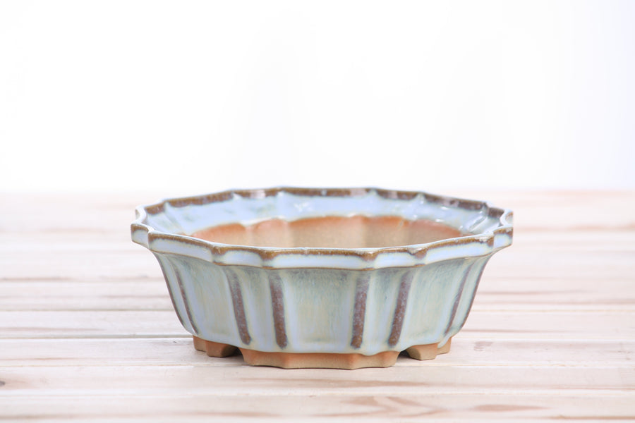 6.5-Inch Flower Bonsai Pot - Glacier