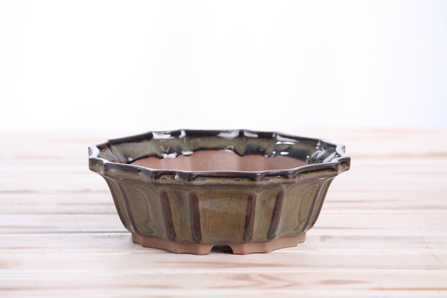 6.5-Inch Flower Bonsai Pot - Dark Honey