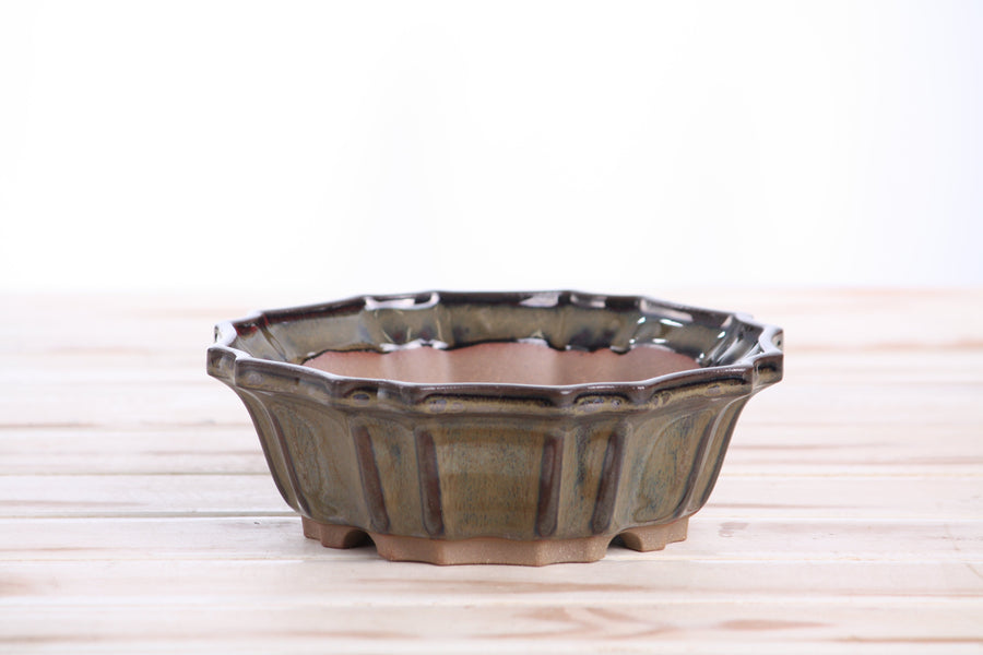 6.5-Inch Flower Bonsai Pot - Dark Honey