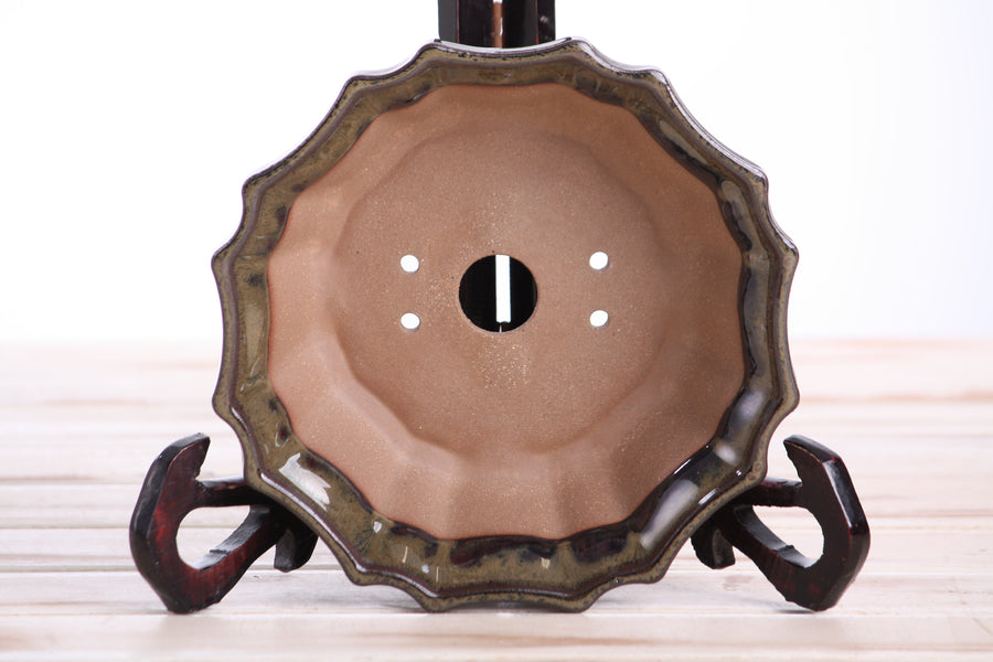 6.5-Inch Flower Bonsai Pot - Dark Honey
