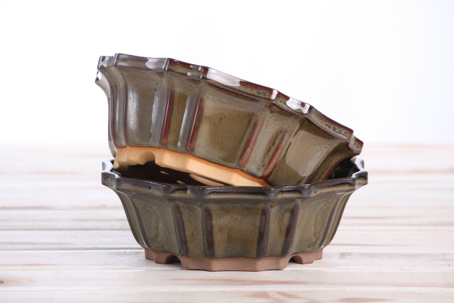 6.5-Inch Flower Bonsai Pot - Dark Honey