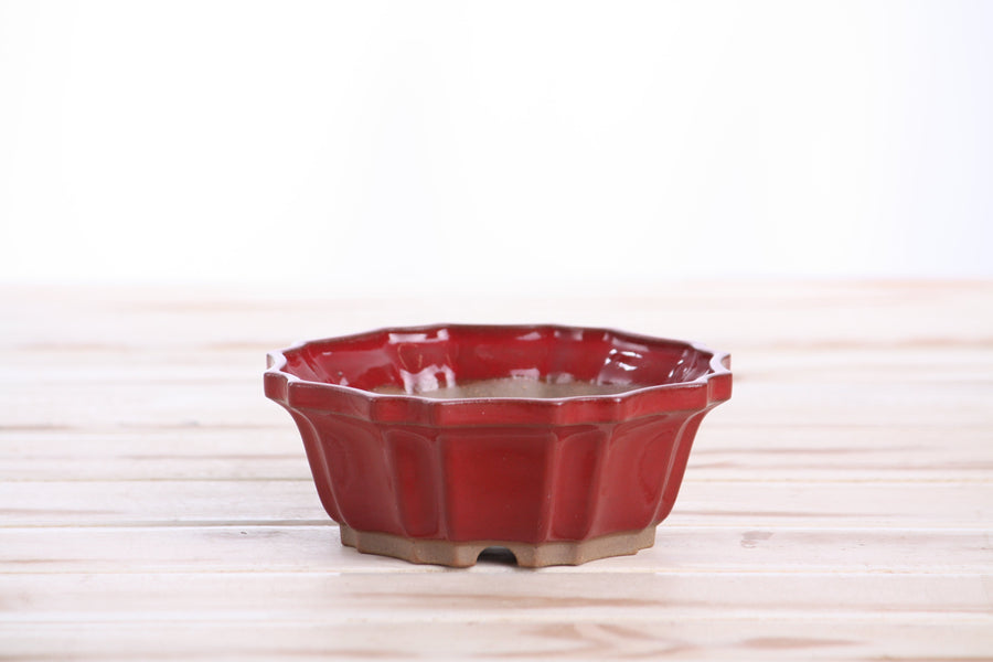 5-Inch Flower Bonsai Pot - Red