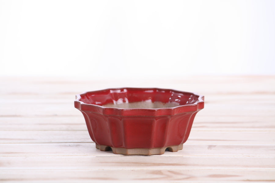 5-Inch Flower Bonsai Pot - Red